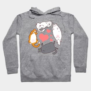 I love fat cats Hoodie